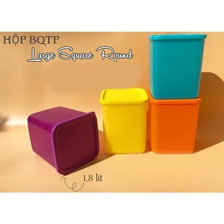 Hộp bảo quản thực phẩm Large Summer Fresh