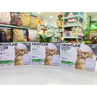 Frontline plus - nhỏ gáy phòng ngừa & loại trừ rận cho mèo