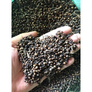 Trà Nụ Vối Khô 500gr Hấp Ủ Tự Nhiên, Khử Đắng Hiệu Quả, Hương Thơm Dịu, Pha Uống Hằng Ngày
