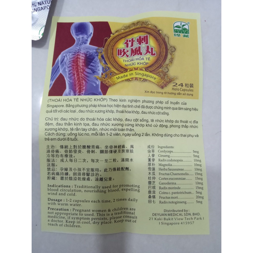 THOÁI HOÁ TÊ NHỨC KHỚP singapore - 24 viên