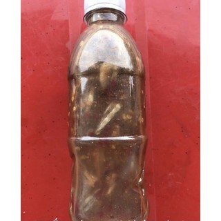 Mắm nêm cá cơm Bình Định - Đặc sản Bình Định