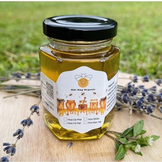 Mật ong hoa bạc hà 100ml/280ml nguyên chất