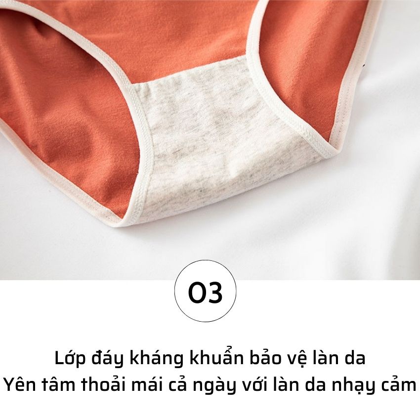 Quần lót nữ Cotton - Quần chip nữ sinh cute Nhật Bản siêu đáng yêu Cavera L765