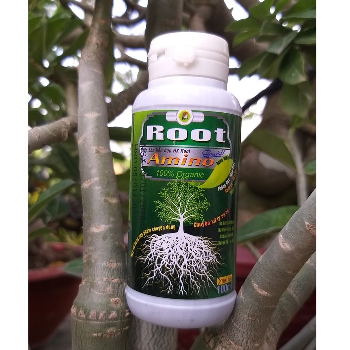 Phân Bón Lá Ra Rễ Root AMINO 100% Organic + Rong Biển 100ml
