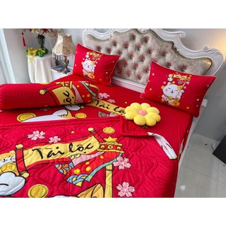 BỘ DRAP THUN Ý 5D CAO CẤP