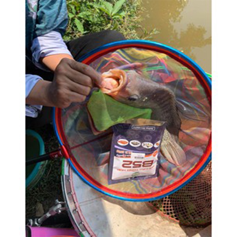 Combo câu rô phi B52