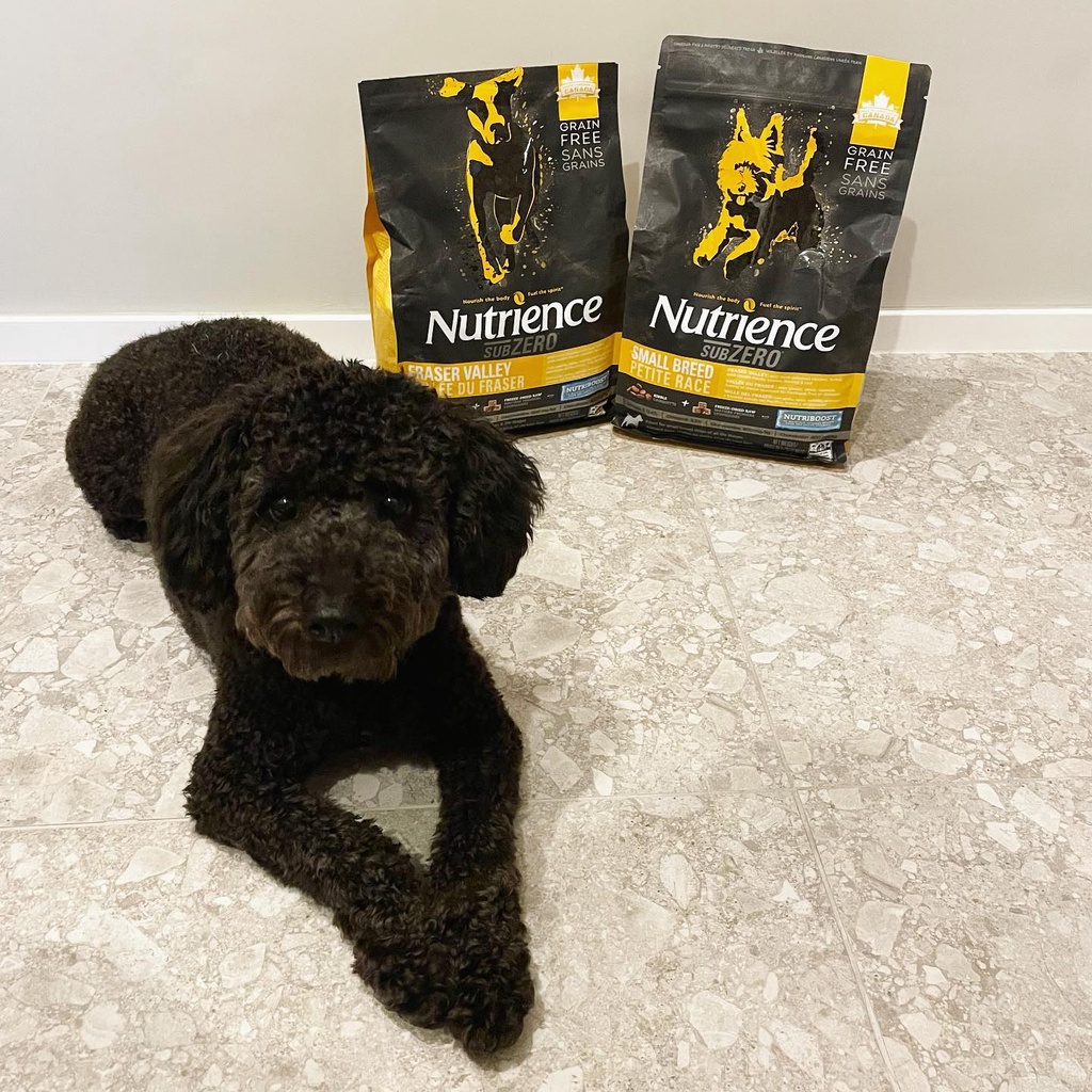 Thức Ăn Hạt Cho Chó Poodle - Mượt Lông Nutrience Subzero Bao 2,27kg - 4 Loại Thịt (Gà Tây, Cá Hồi,...) Rau Củ, Trái Cây