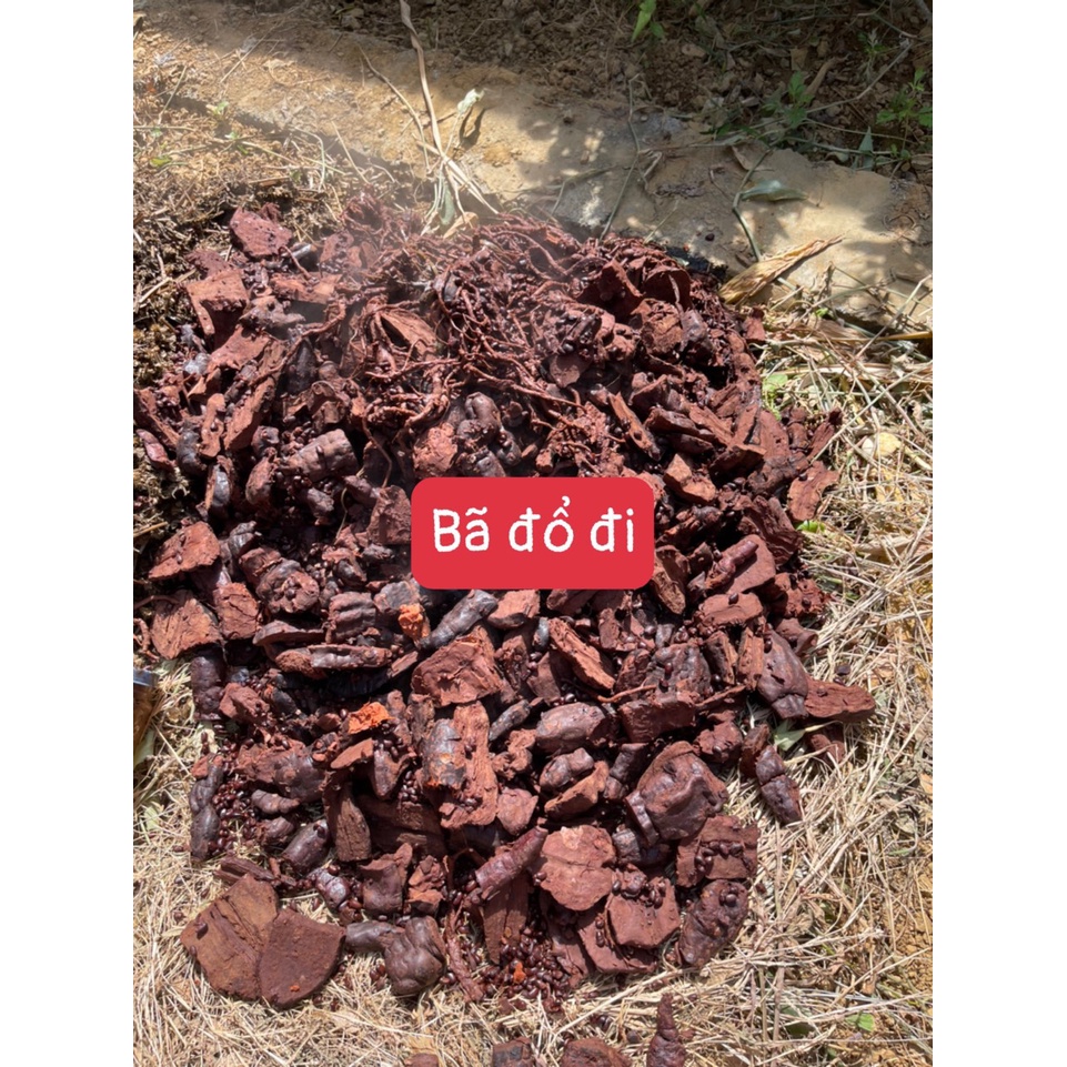 HŨ 100gr CAO HÀ THỦ Ô  - DƯỢC LIỆU HÀ HOÀNG