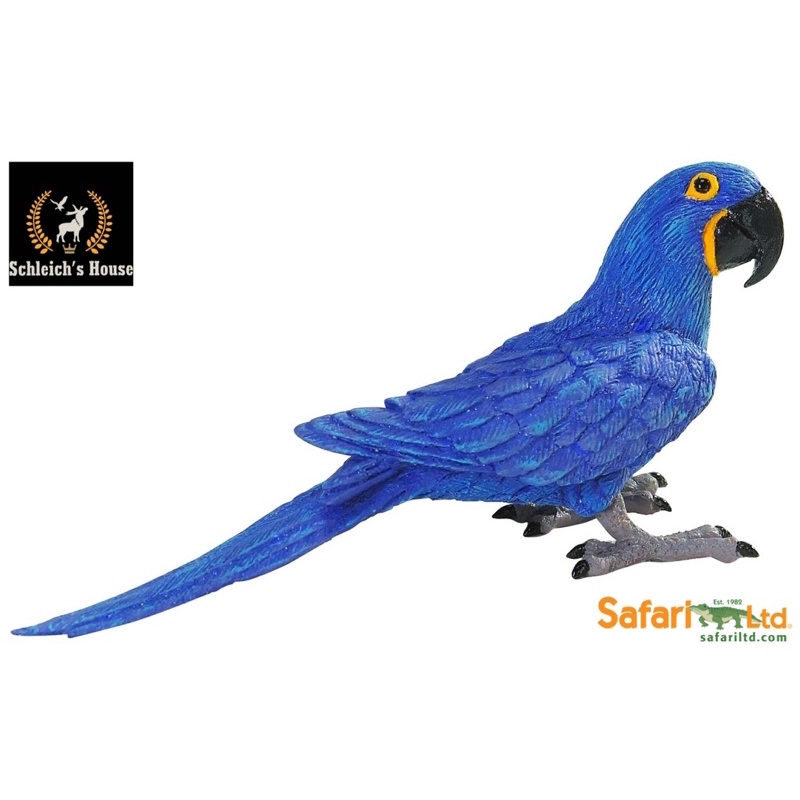 Mô hình động vật , đồ chơi con vật Safari Ltd chính hãng chim Vẹt đuôi dài lam tía Hyacynth Macaw 264229- Schleich House
