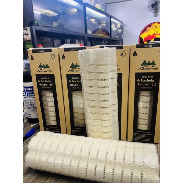 THÙNG - SỨ MOUTIAN TREE V2 và V3