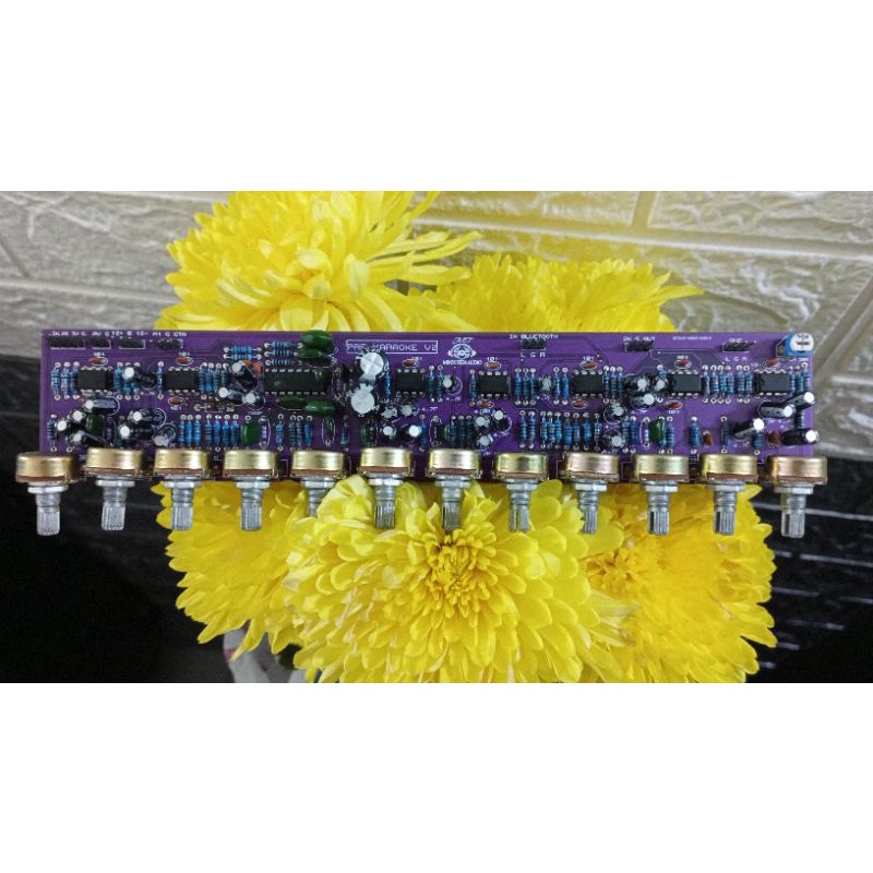 Mạch pre loa kéo 12 vol echo bay bổng V2.1