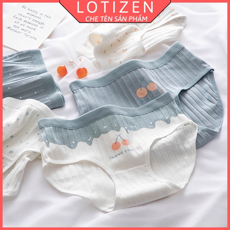 Quần lót nữ cute chất cotton cạp dày dặn 320