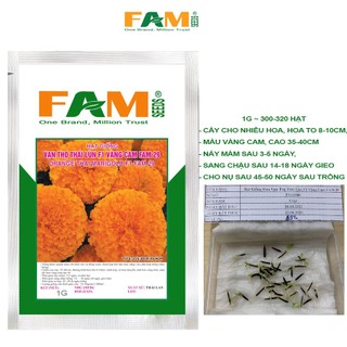 Hạt giống hoa vạn thọ thái lùn f1 vàng cam fam 29 - gói 1g, nảy mầm khỏe >90%, hoa to 8-10cm, cao 35-40cm
