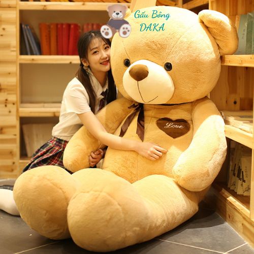 Gấu Teddy To Khổng Lồ Đeo Nơ - Gấu Teddy Làm Qùa Tặng Cao Cấp DAKA