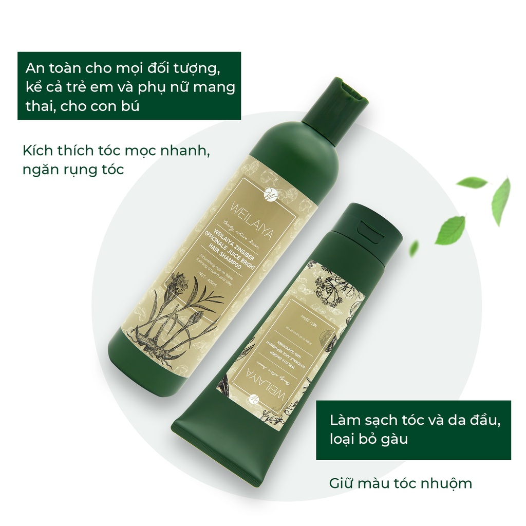 Combo dầu gội đầu, dầu xả tóc Weilaiya chiết xuất nấm Truffle và dầu gội đầu, dầu xả tóc thảo dược gừng Weilaiya