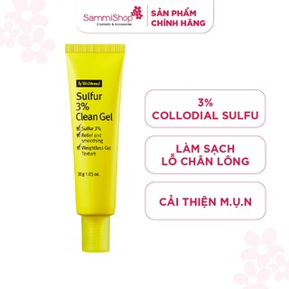 Gel hỗ trợ ngăn ngừa mụn By Wishtrend Sulfur 3% Clean Gel