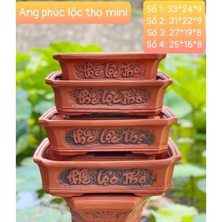 Chậu đất nung chậu đất đỏ Ang trồng cây cảnh phúc lộc thọ -