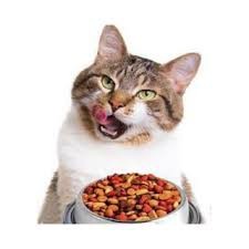 thức ăn cho mèo WHISKAS 400g/túi