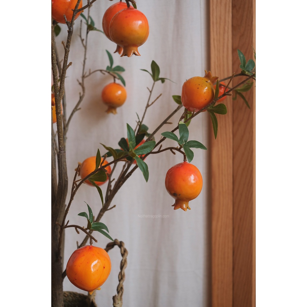 Cây lựu chậu cói