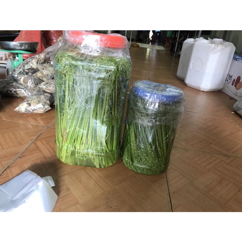 Đòng Đòng nếp nương ngon ngọt tốt