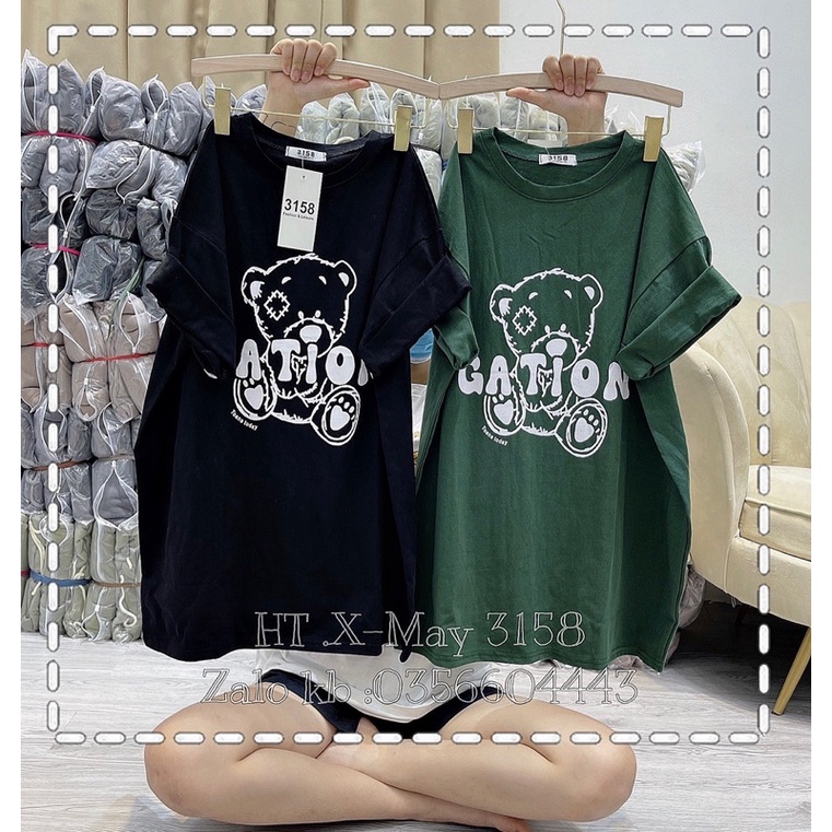 Áo phông gấu GATION DA6