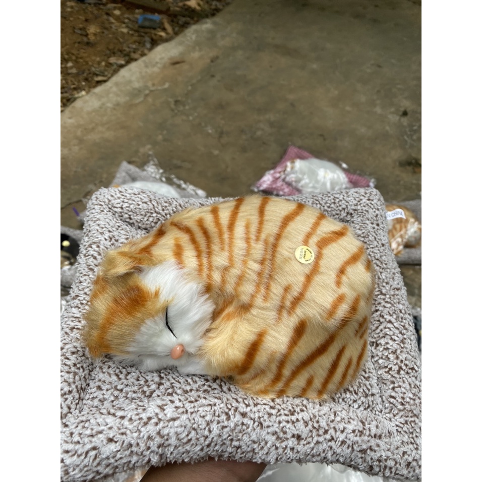 Mèo vằn vàng đơn thú bông than hoạt tính trang trí ô tô,phòng làm việc,bàn học tập,khử khuẩn không khí