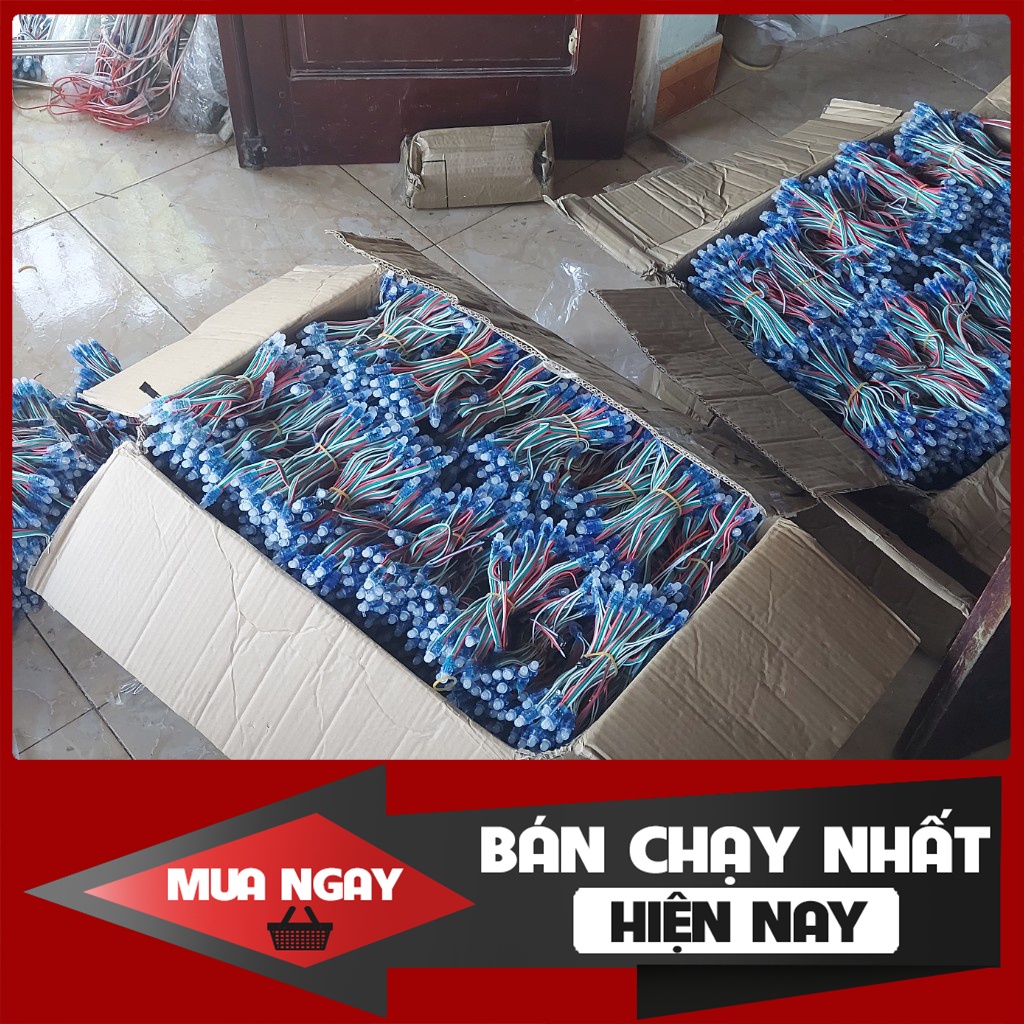 Led Đúc 1930, 2811 full màu chống nước, dây 50 bóng