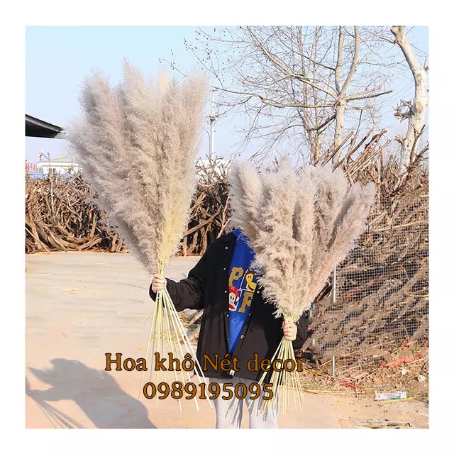 🌸 Cành Lau xù size lớn decor trang trí 🌸 Cành Lau xù cao dài hàng đẹp