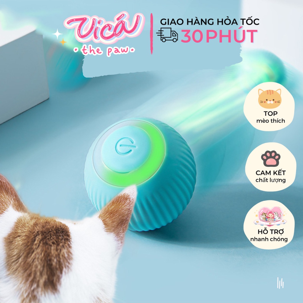 Bóng đồ chơi thú cưng cho chó, mèo tự động lăn có đèn led phát sáng