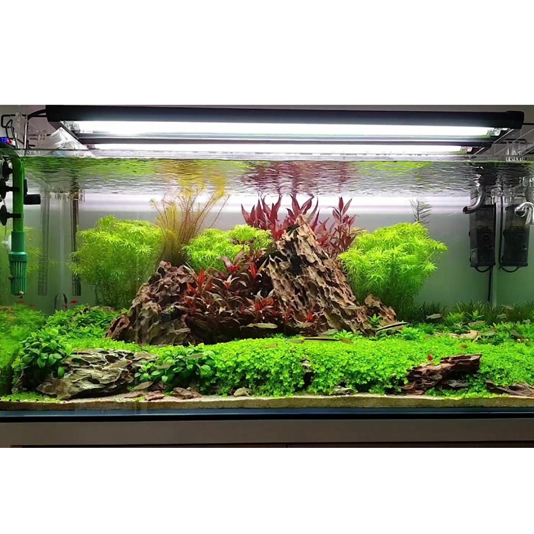 JBL Aquabasic Plus | Cốt Nền Dinh Dưỡng Cao Cấp - Chuyên Dụng Cho Hồ Thuỷ Sinh