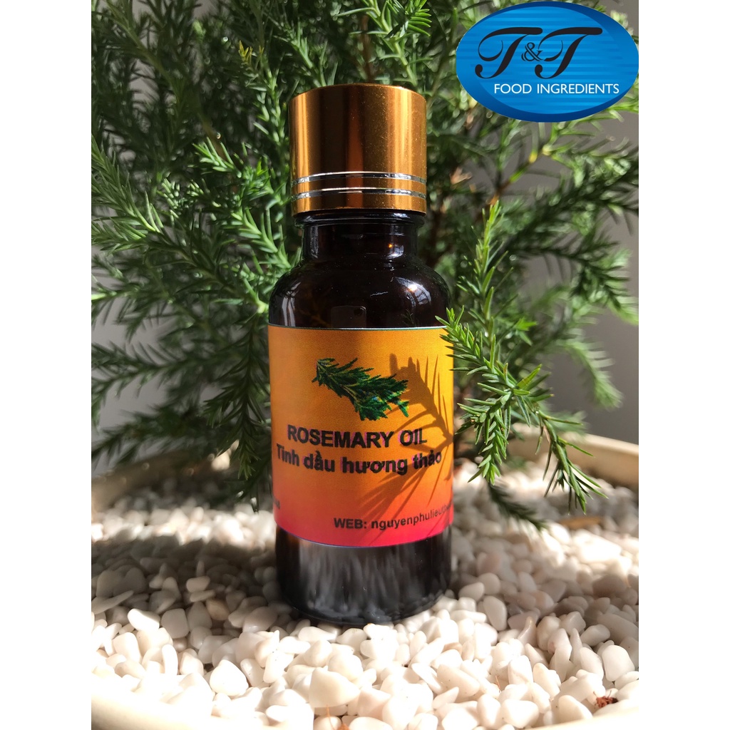 Tinh dầu Hương Thảo - Rosemary Essential Oil
