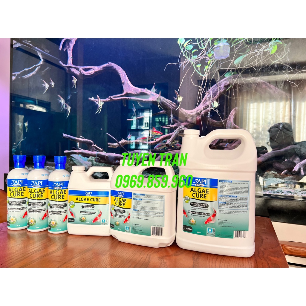 API Algae Cure - Nguyên Seal 946 - Công nghệ Hóa Sinh tiêu diệt rêu tảo hại, làm nước siêu trong, giảm bụi siêu hiệu quả