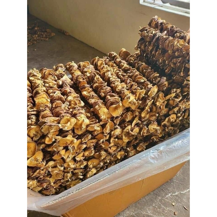 100gr nấm hương rừng