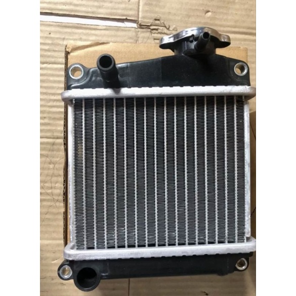 Két nước Honda Lead 110cc