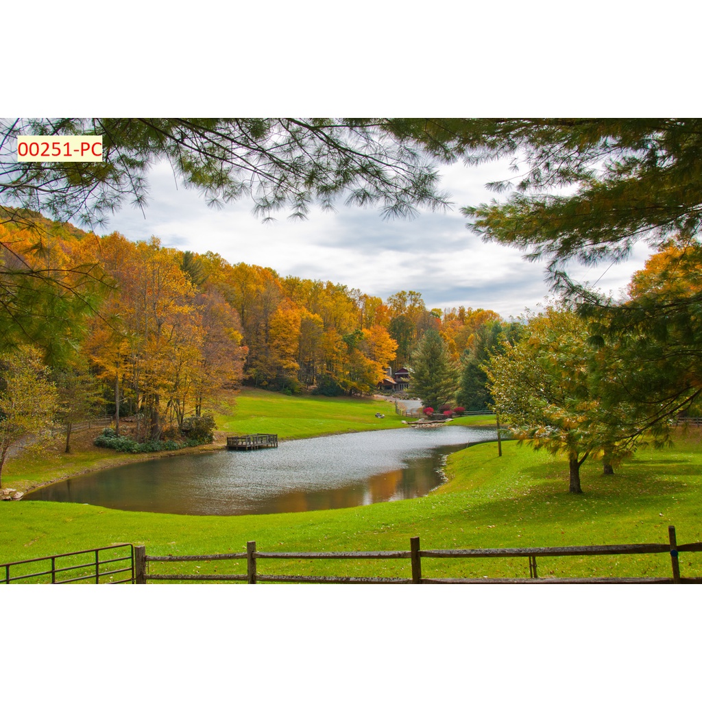 Tranh dán tường vải lụa 3D chủ đề mùa thu bình yên