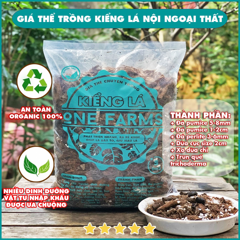 Mua 5 tặng 1, Giá thể, đất trồng Kiểng Lá Monstera, fryder, black dragon..., giá thể kiểng lá OneFarms túi 5dm3