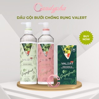 Dầu gội bưởi dầu xả bưởi Grapefruit Valert 850ML - tặng tinh dầu bưởi phục hồi chống rụng kích mọc tóc