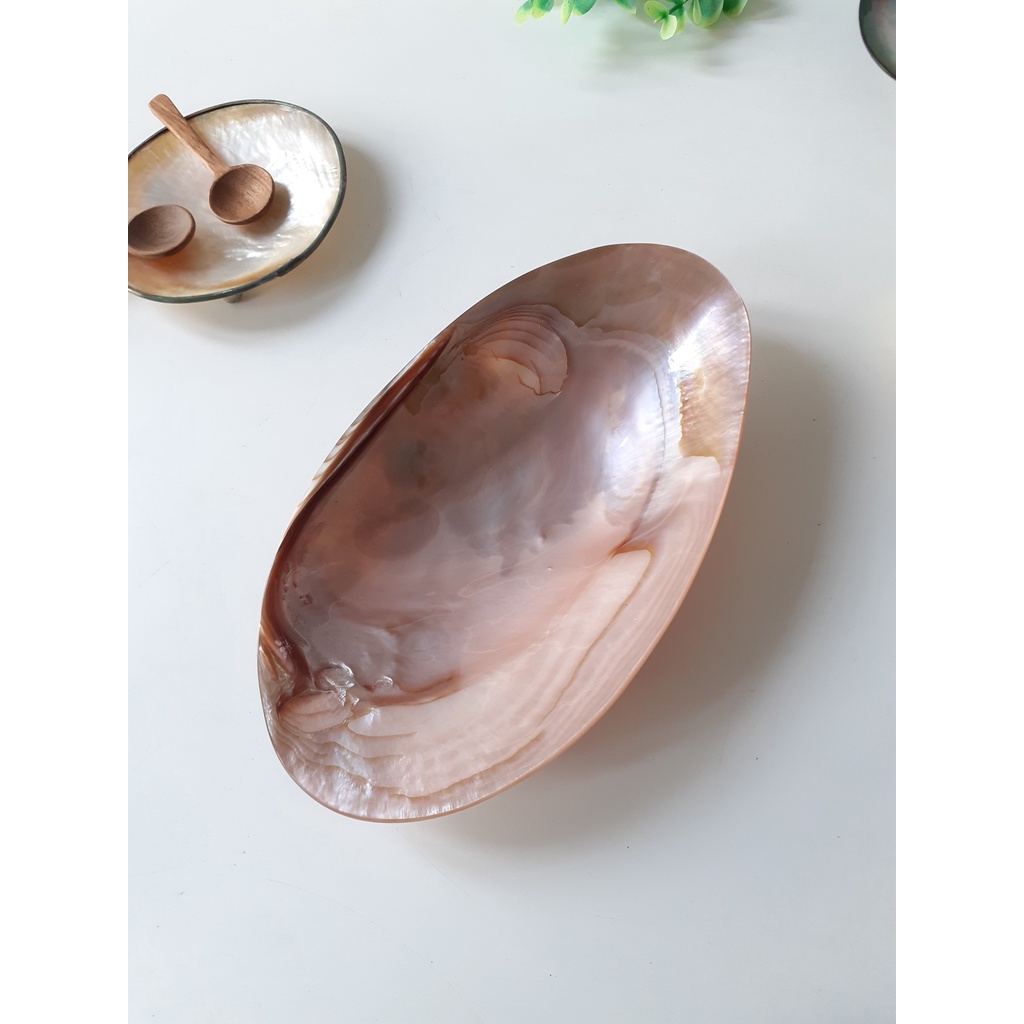 Đĩa trai hồng, đĩa xác đen, xác vàng Diềm Mạ Niken màu Vàng