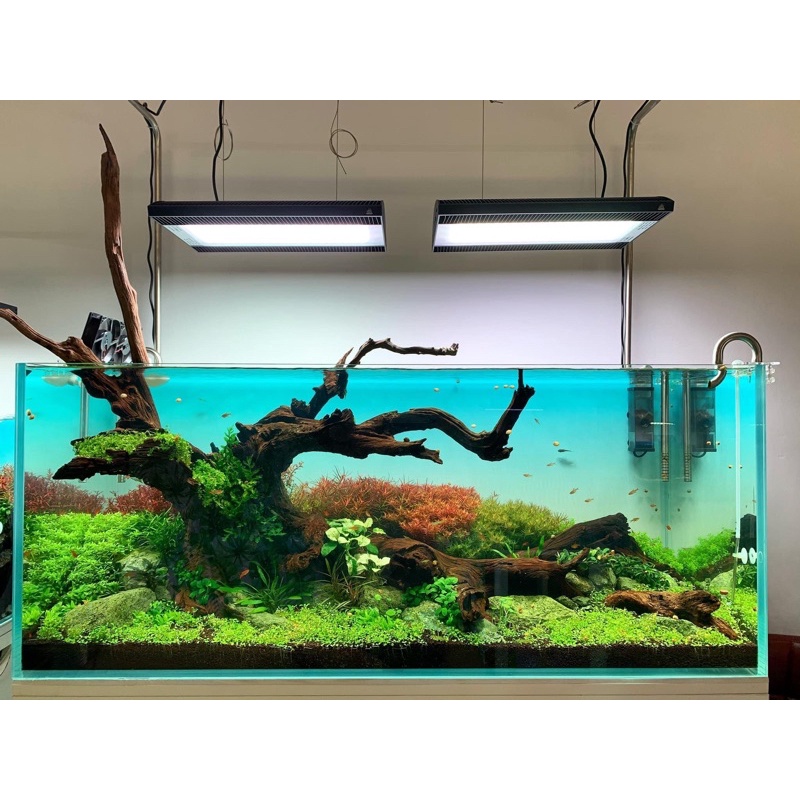 SALE HOT - Tranh dán bể cá OPEN SKY - Giá xưởng sale sập sàn - LEGEND AQUA