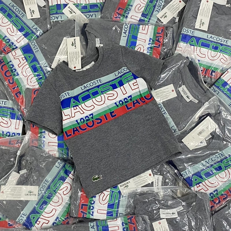 Áo phông cộc tay in hình cá sấu cho bé trai có 2 màu size từ 10-35 cân