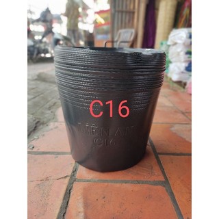 Combo 20 chậu c16