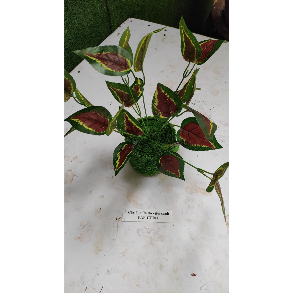 Cây giả lá giữa đỏ viền xanh, cỏ giả trang trí, hoa giả trang trí tiền cảnh, hoa trang trí tết PAP-CG011