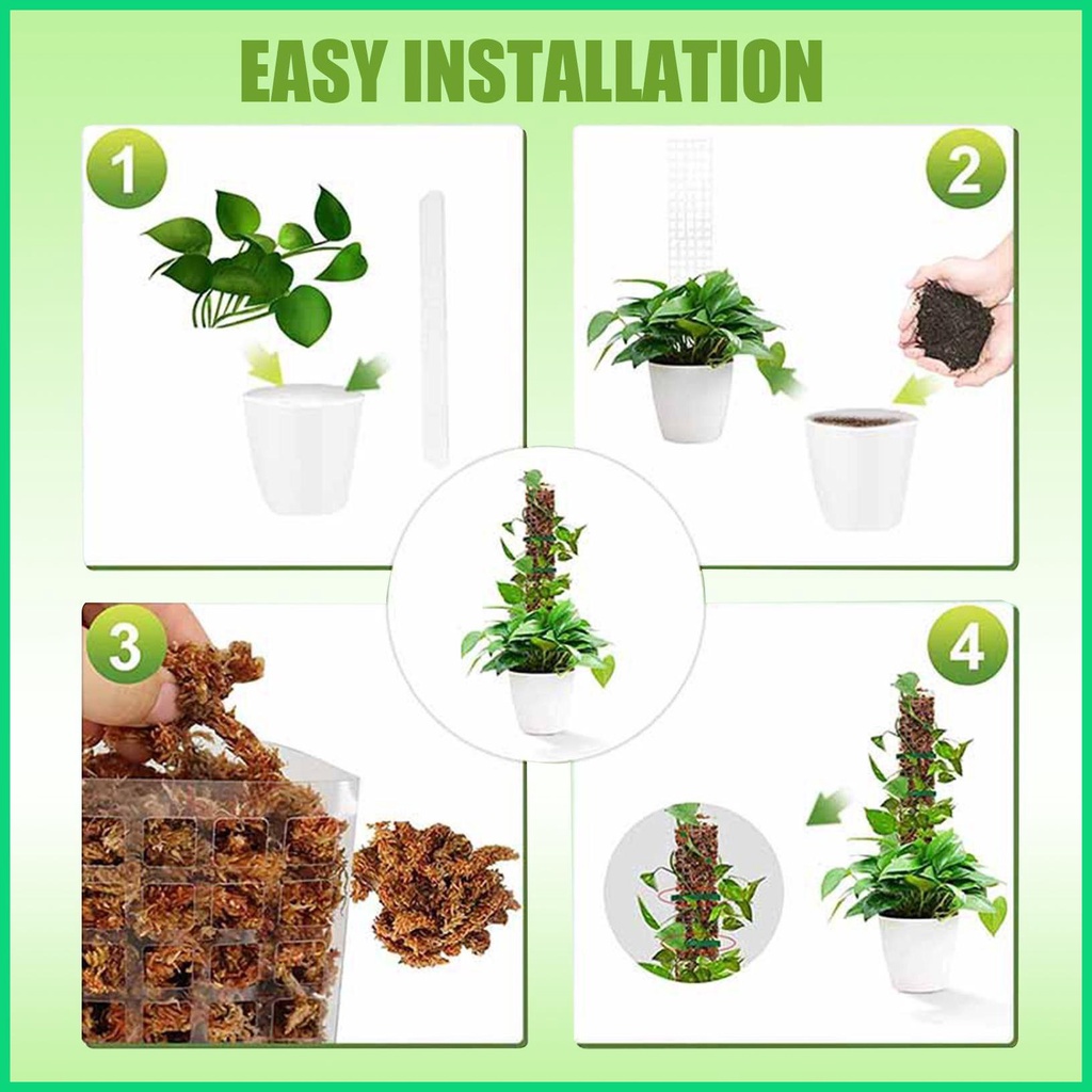 Gậy Hỗ Trợ Trồng Cây Trong Nhà 24 Inches Monstera Moss Leo Trèo Monstera jiwvn Jwvn