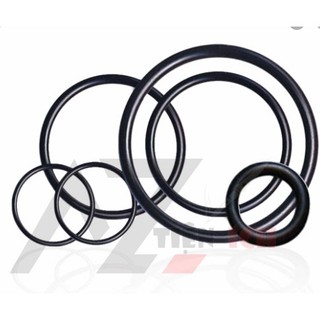 Ron chế lọc - gioăng cao su lọc chế fi 100 - 220