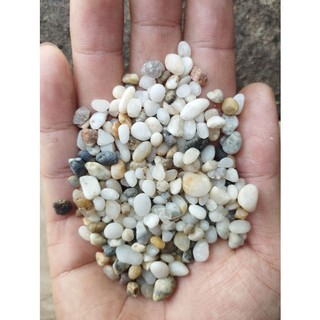 Sỏi tự nhiên nhiều màu