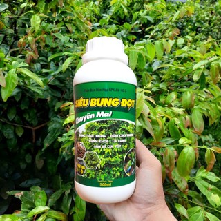 Siêu bung đọt chuyên mai - phân bón dưỡng đọt, lá, rễ dành cho mai