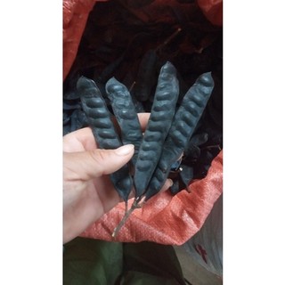 Combo 1 kg quả bồ kết sạch ( bồ kết ta) thơm lừng mẩy