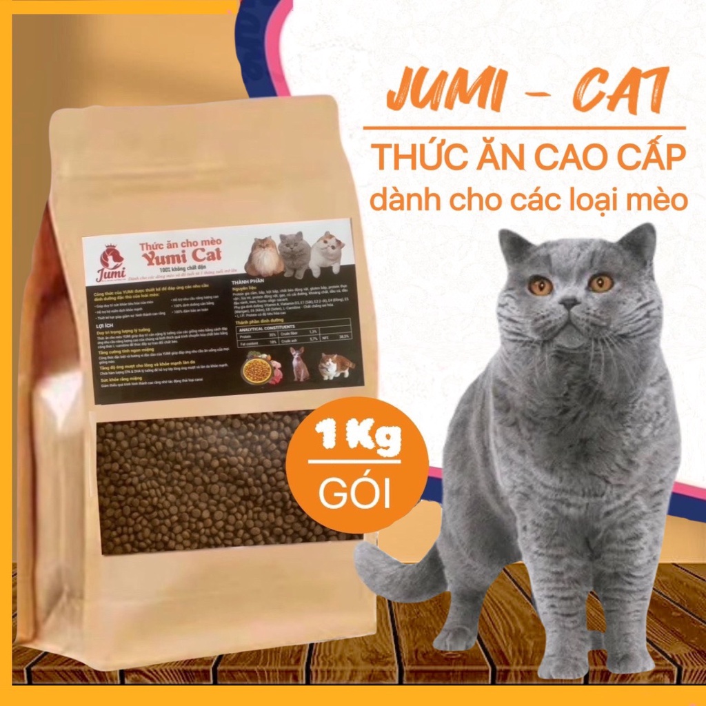 Thức ăn cho mèo - 1KG hạt nhỏ JUMi thơm ngon bổ dưỡng vị cá hồi ( Ong Vàng_89 )