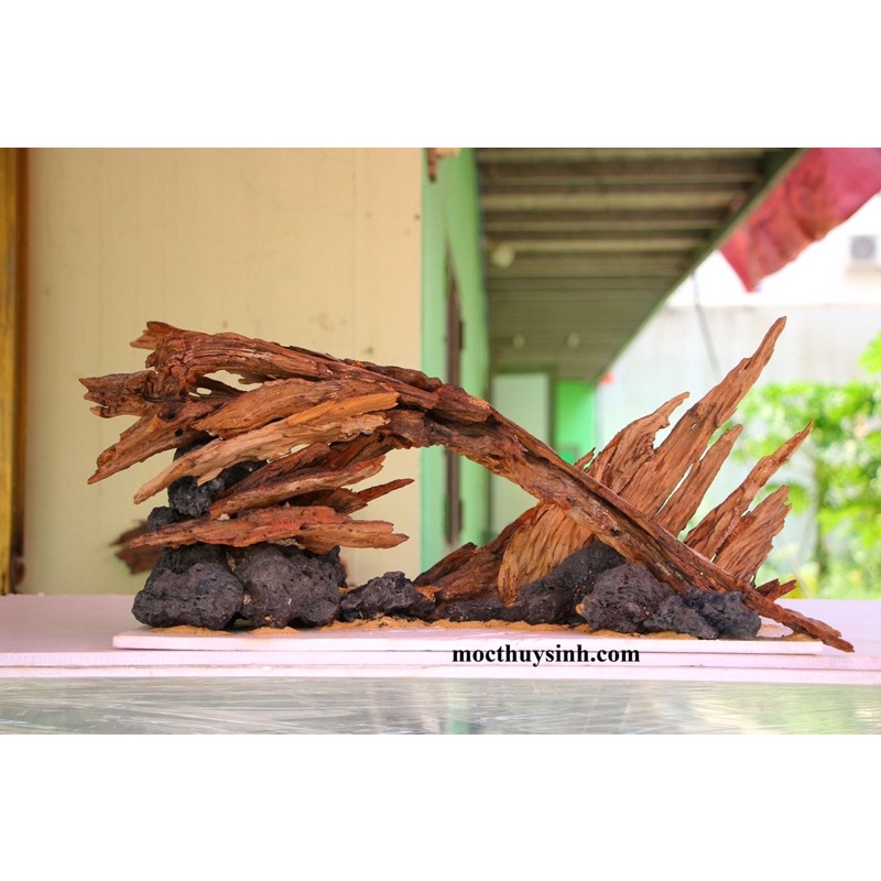 Tấm Bìa Mô Hình Fomex 10mmI Dùng làm Đế set up Layout thô cho Hồ Thủy SinhI Nhiều Kích Cỡ hồ