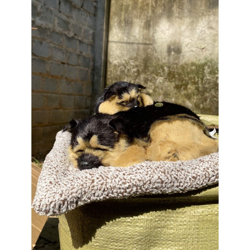 Mẹ Con Thú bông GIỐNG THẬT 99% chó mèo sói gấu lõi than hoạt tính lọc không khí khử mùi trang trí xe hơi